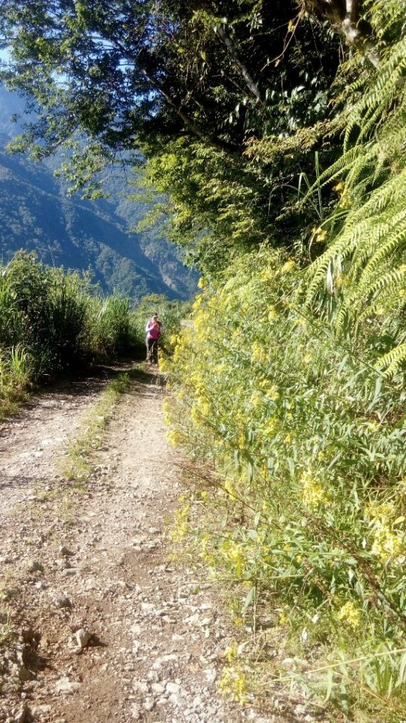 米羅山←→南山神木←→佐得寒山折返_340949