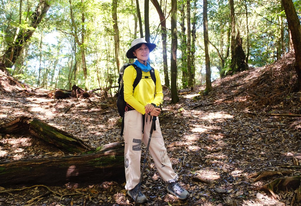 雪見大板根_2924674