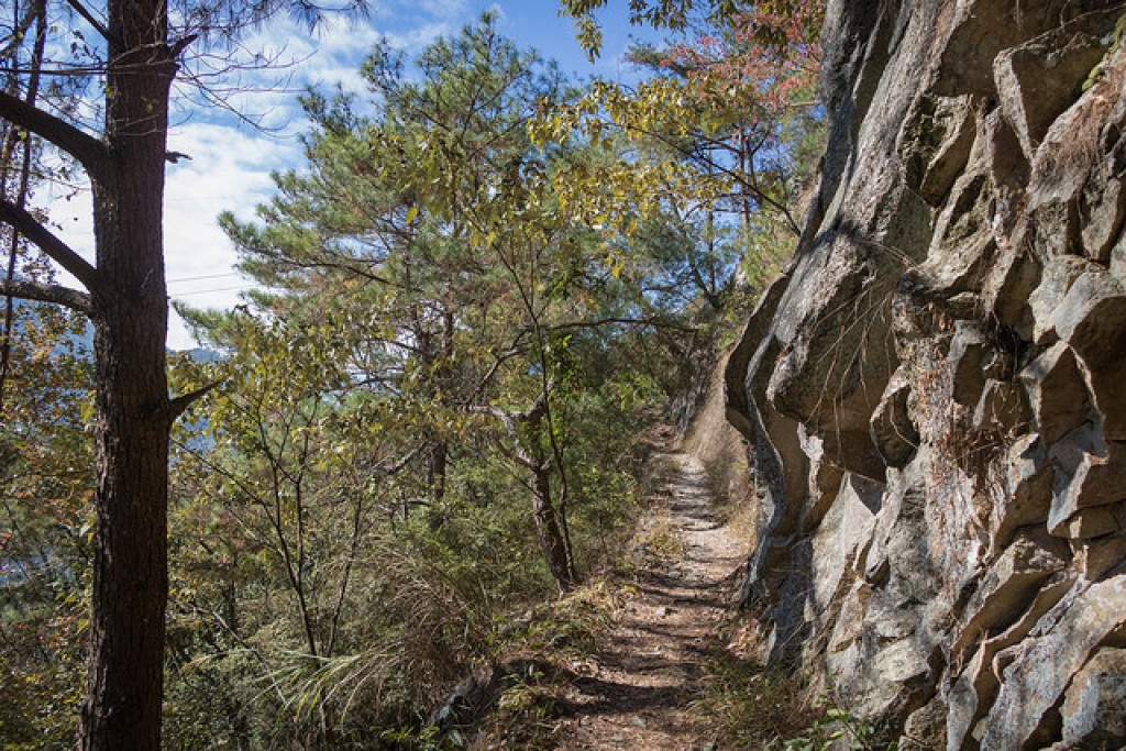 WL 愛旅行【東卯山】_238629