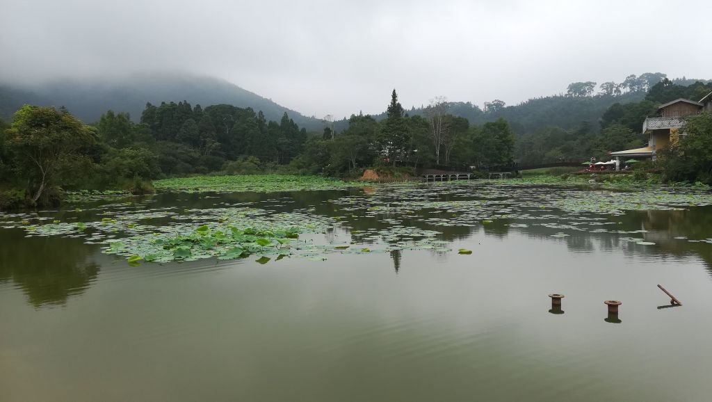 20180603南庄向天湖環湖步道_346501