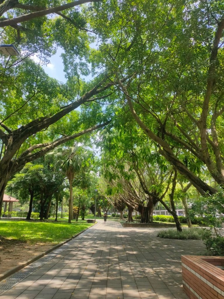 ［ 健康大穀東］（7~8）：［中正紀念堂+象山公園］（2023/7/20）_2236477