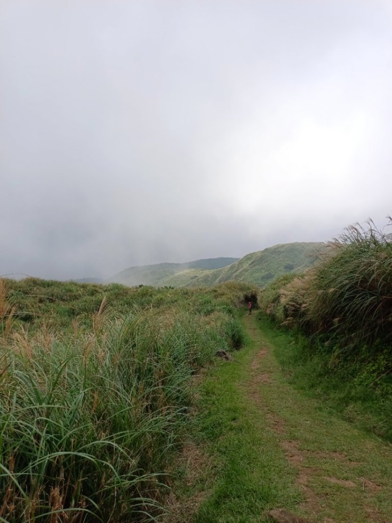 走遍陽明山封面圖