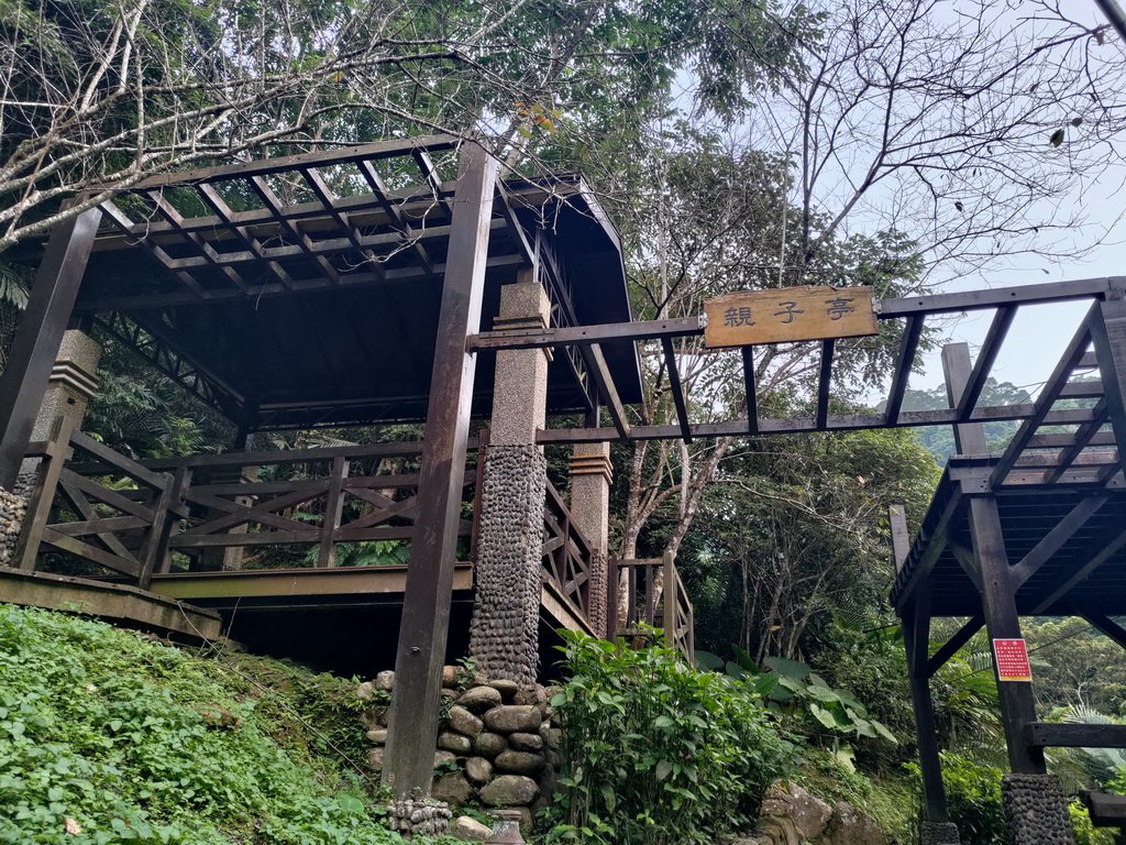 【新竹縣峨嵋鄉】藤坪步道_2833246