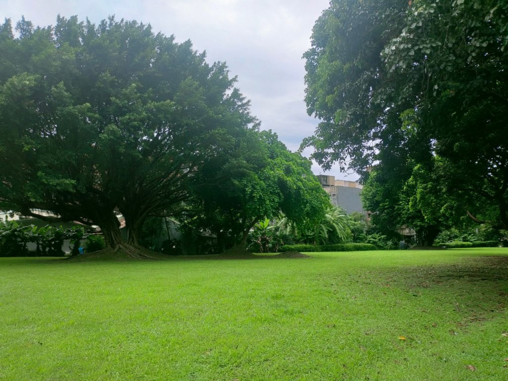 ［健康大穀東］（9~11）：大安，華山，唭哩岸捷運站_2238517