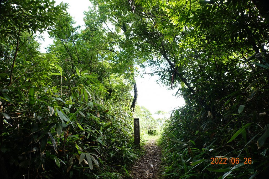 新北 坪林 源茂山(樟枯坑山)_1746026