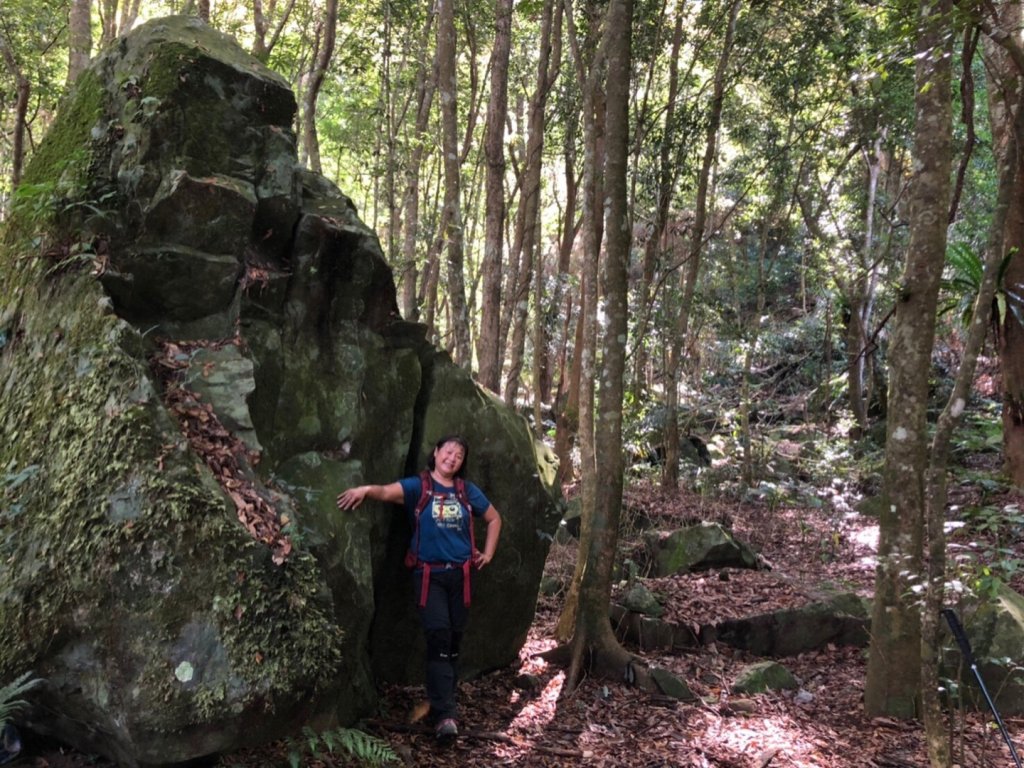 走陡陡的鳥嘴山後再泡泡泰安溫泉_1170255