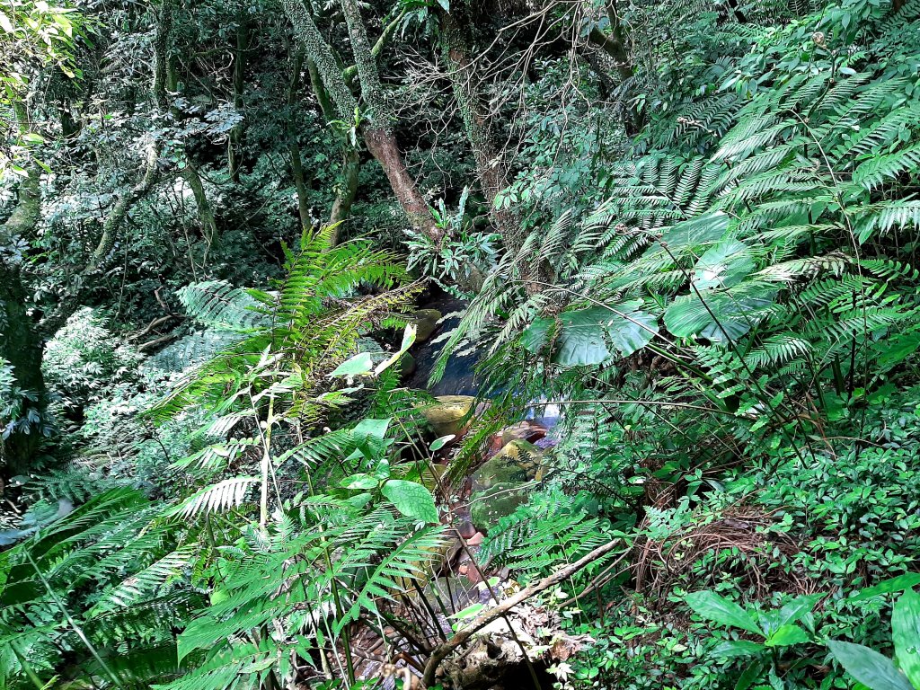 金面山、絹絲瀑布_2532368