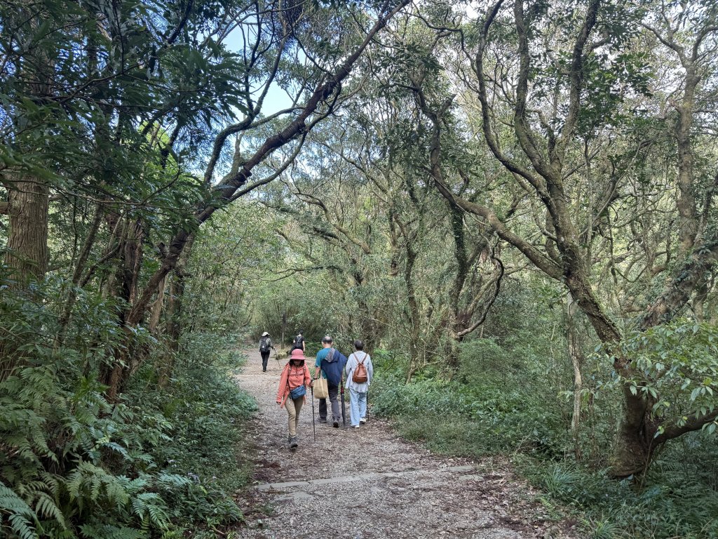 二子坪步道 經遊憩區 上面天山 20251108_2935044