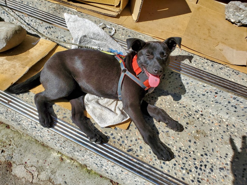 雲龍瀑布_1620160