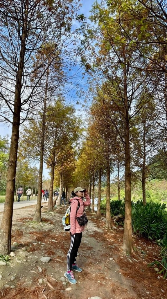 桃園大溪-花彩節🌼李騰芳古厝-月眉落雨松_2936527