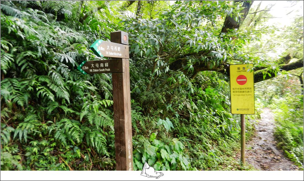 大屯山群峰步道(大屯山主峰、南峰、西峰)_882618