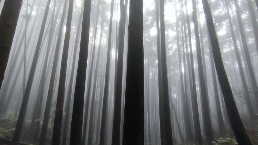 長壽山（肥崠山）鎮山之羊與飛鷹_1455192