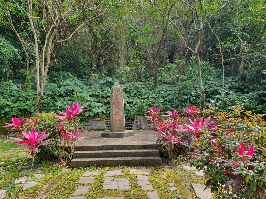 美崙山步道_1268740