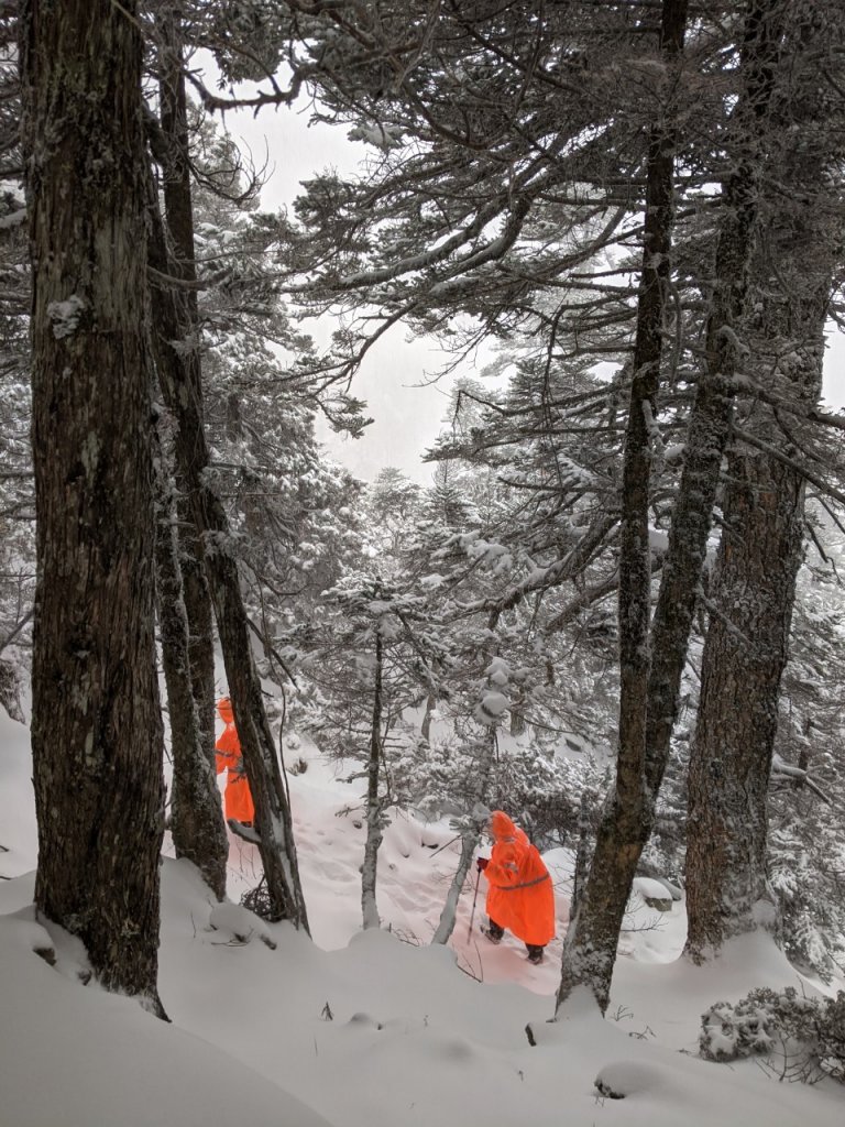 20200128-玉山雪景_818518