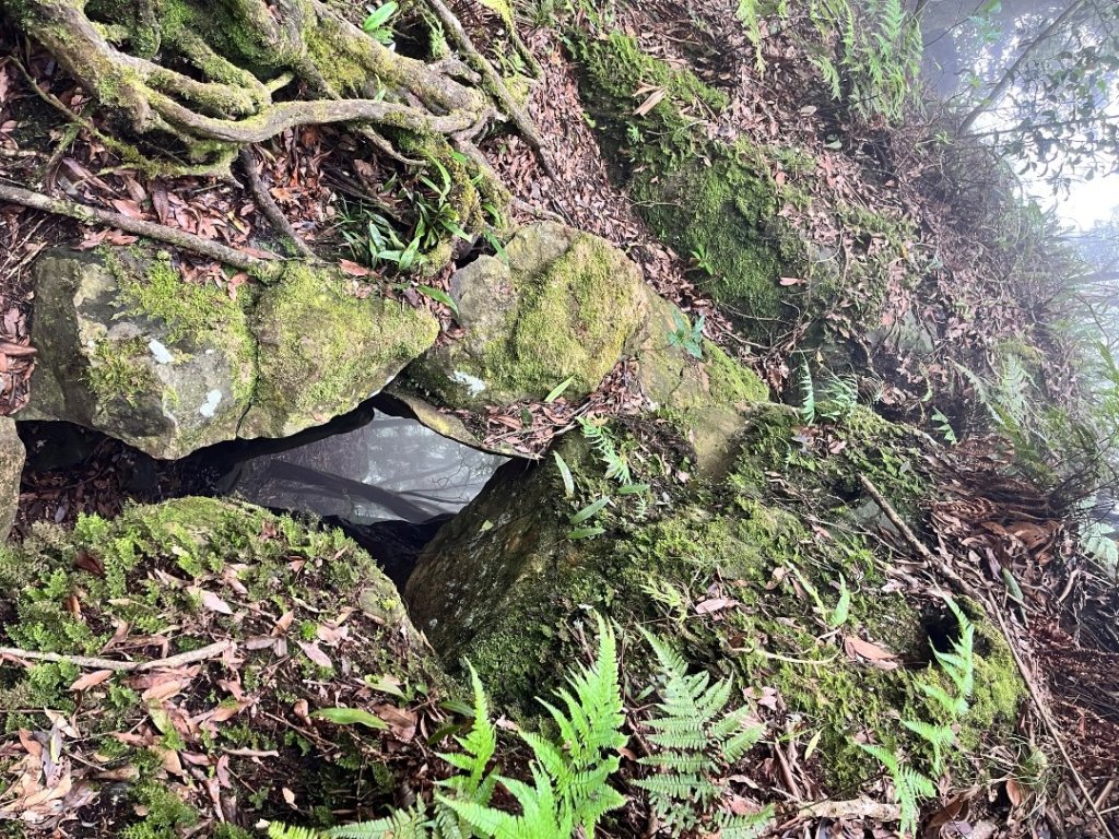 20250525_鳳凰山步道（南投小百岳）_2855891