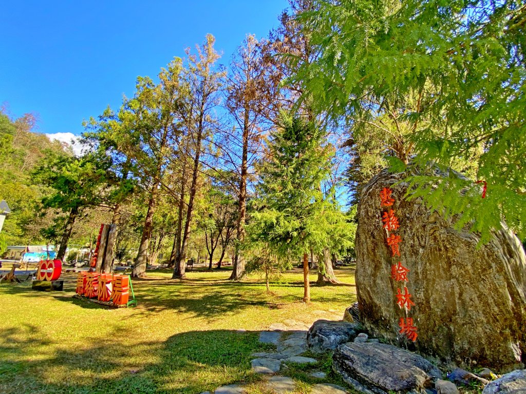 惠蓀林場悠遊順走松風山 20201205_1198119