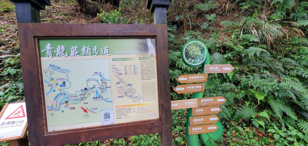 2023-01-01杉林溪青龍蕨類步道(青龍瀑布)、松瀧岩瀑布及天地眼步道_1978828