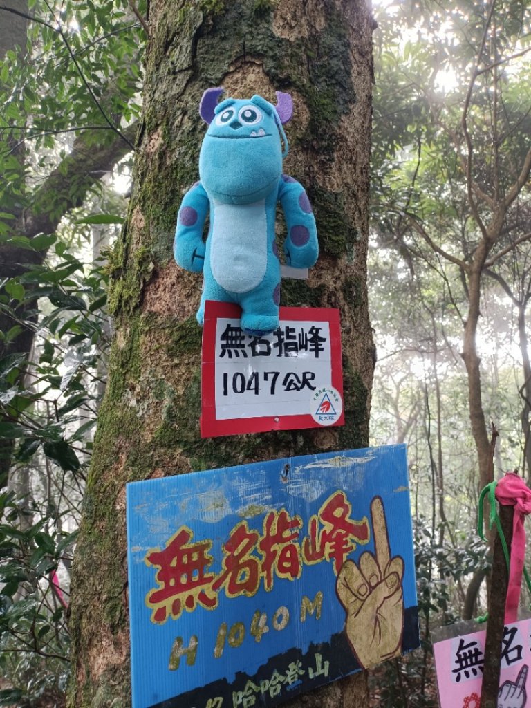 2022/12/4新竹五指山_1971467