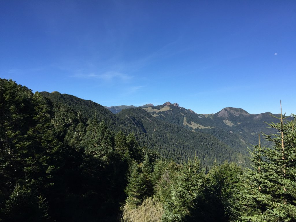 武陵四秀(2015四缺喀_2019喀桃)_689654