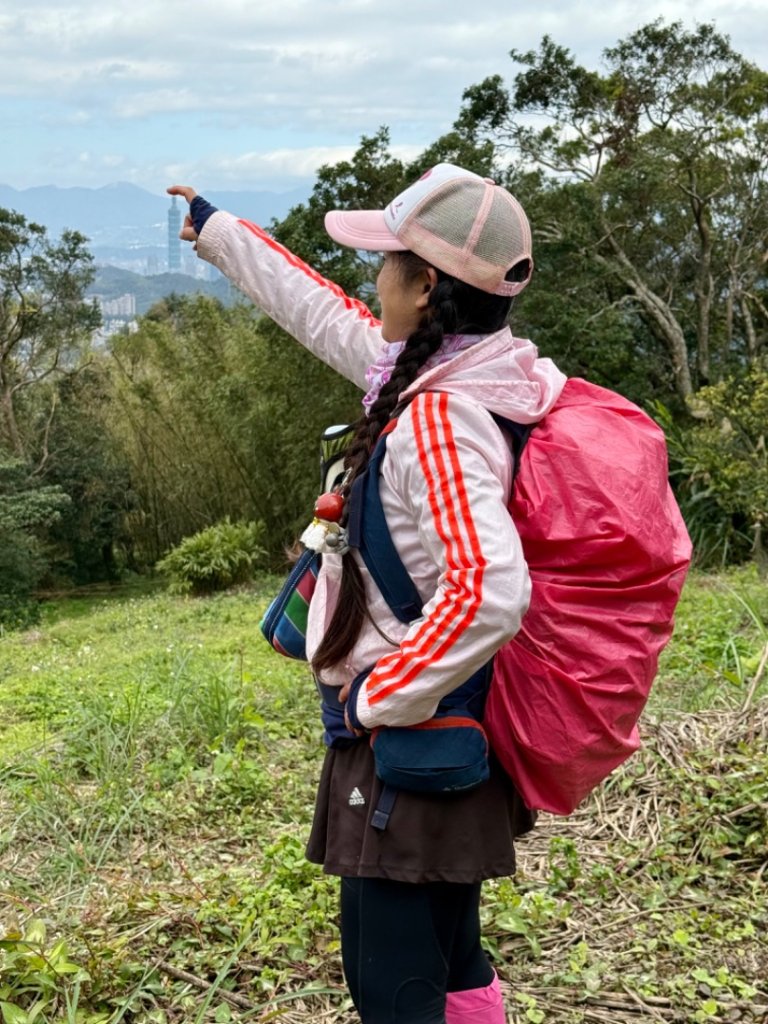 青潭越嶺政大-賞梅花🌸安坑🐦嘴四秀_2691701