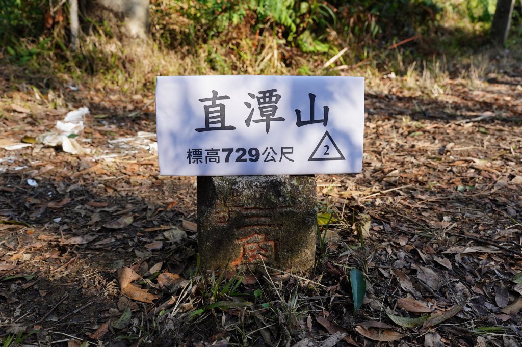 新北 新店 直潭山、二龍山封面圖