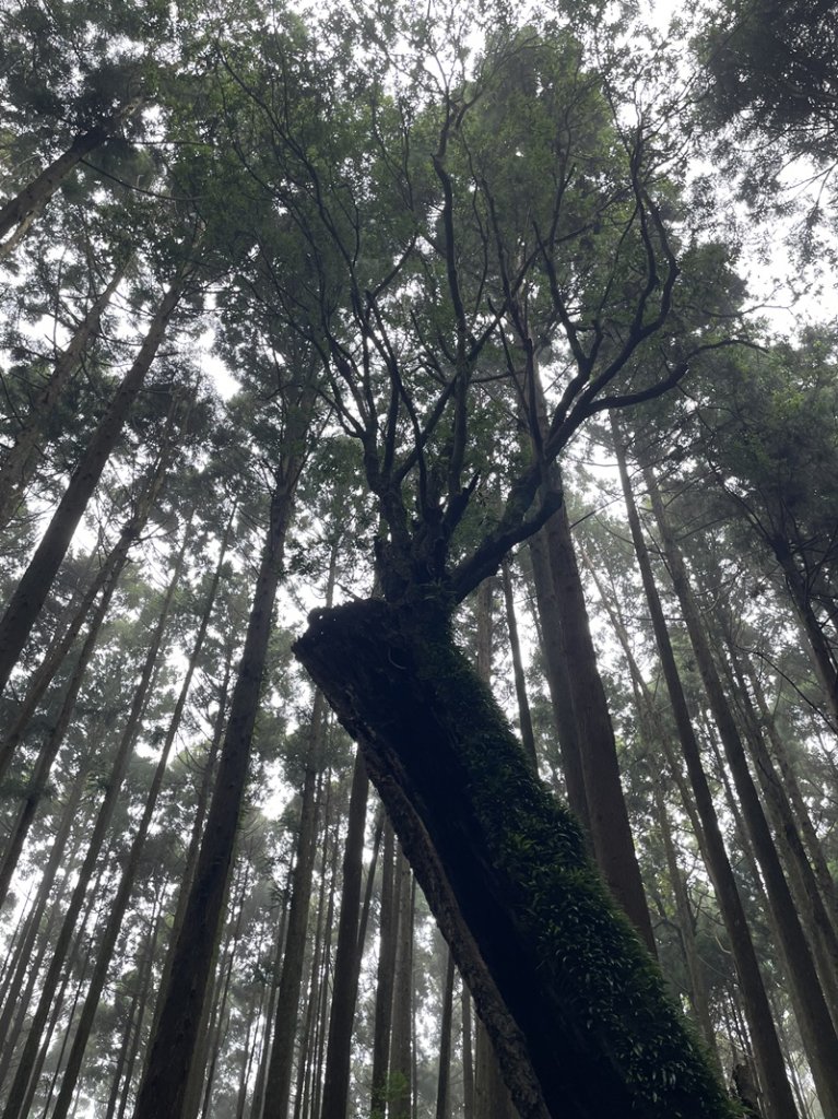 民都有山_2877340