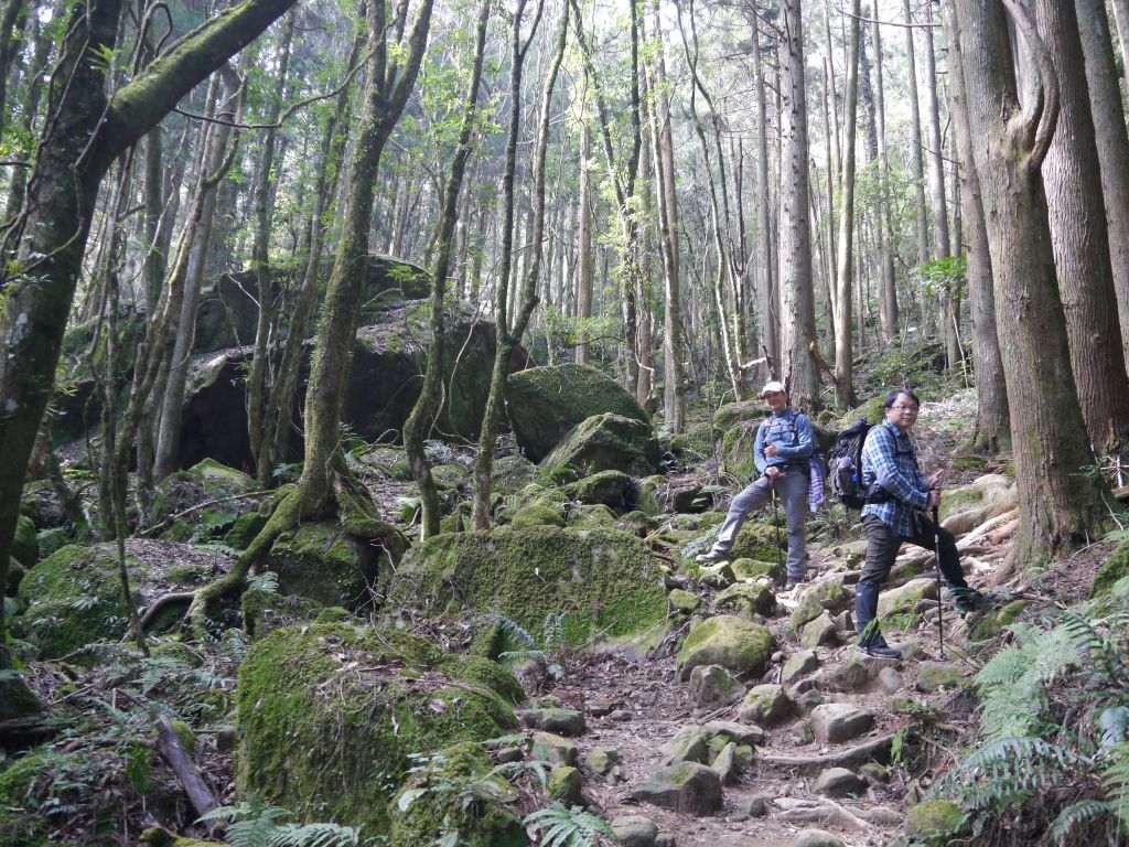 2018年新春的第一座小百岳"加里山"_293257