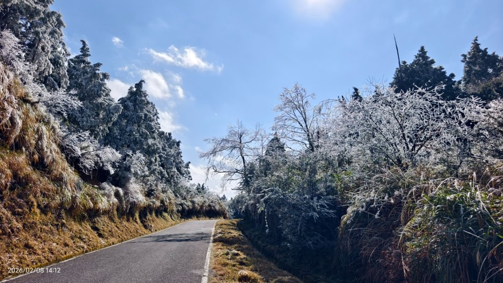 #霧淞 #雲海 #雲瀑 #霧虹 #太平山 #望洋山 #觀雲步道 #翠峰道路  2/8_2995249