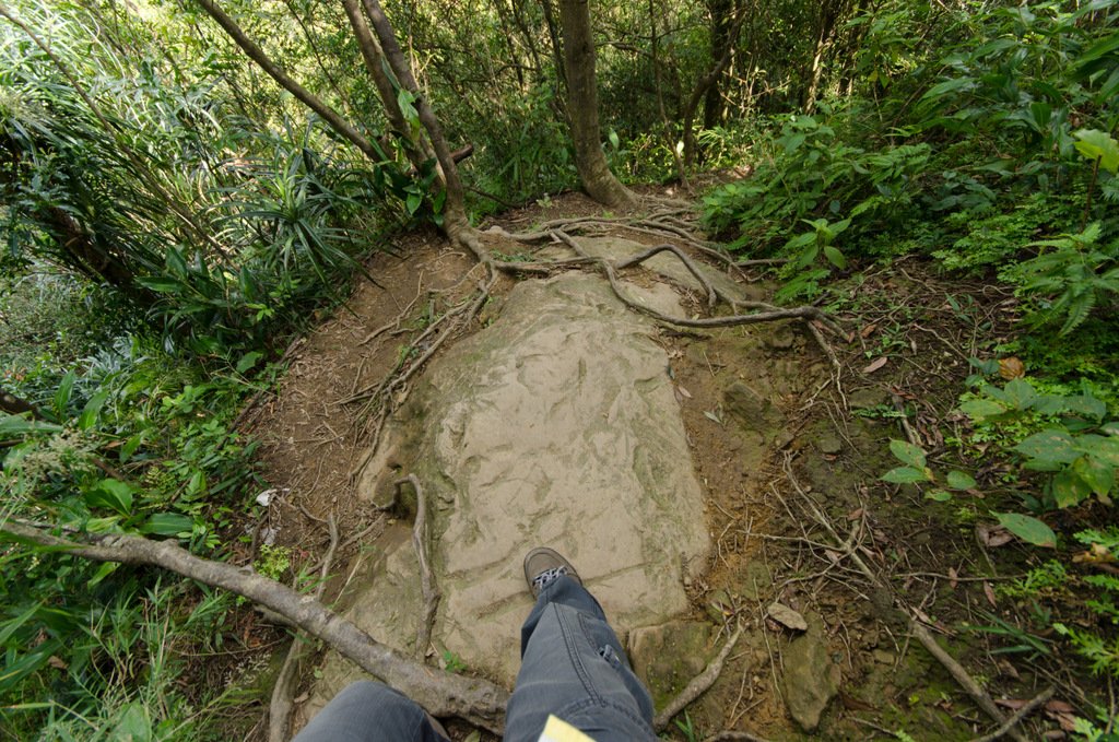 皇帝殿登山步道_424474