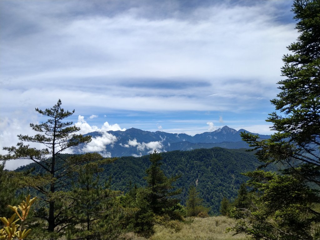 武陵四秀_1024449