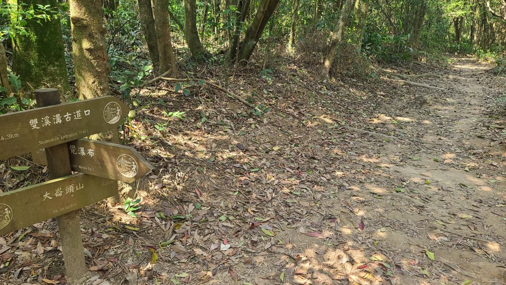 20024-0329臺北大縱走第四段：風櫃口站牌至大湖捷運站_2467542