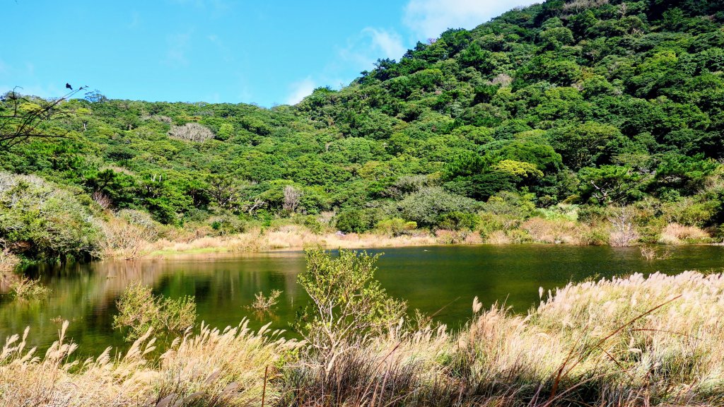 向天蝦不蝦_2936813