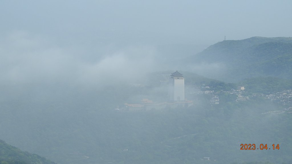 邂逅江湖傳說已久鐘萼木(據說冰河孓遺植物)，再見差強人意的月光/日出雲海_2112206