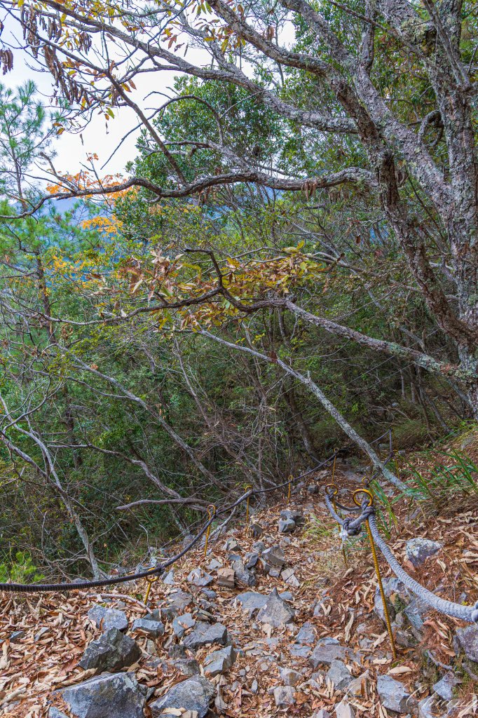 谷關七雄_波津加山_2977574