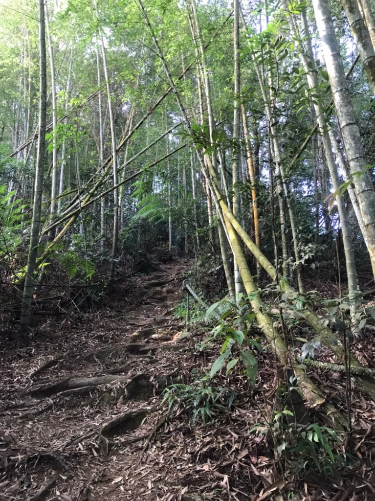 日月潭水社大山越野跑_1465215