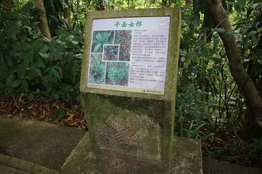 小百岳NO.13南港山，南港山北峰，九五峯_2285580