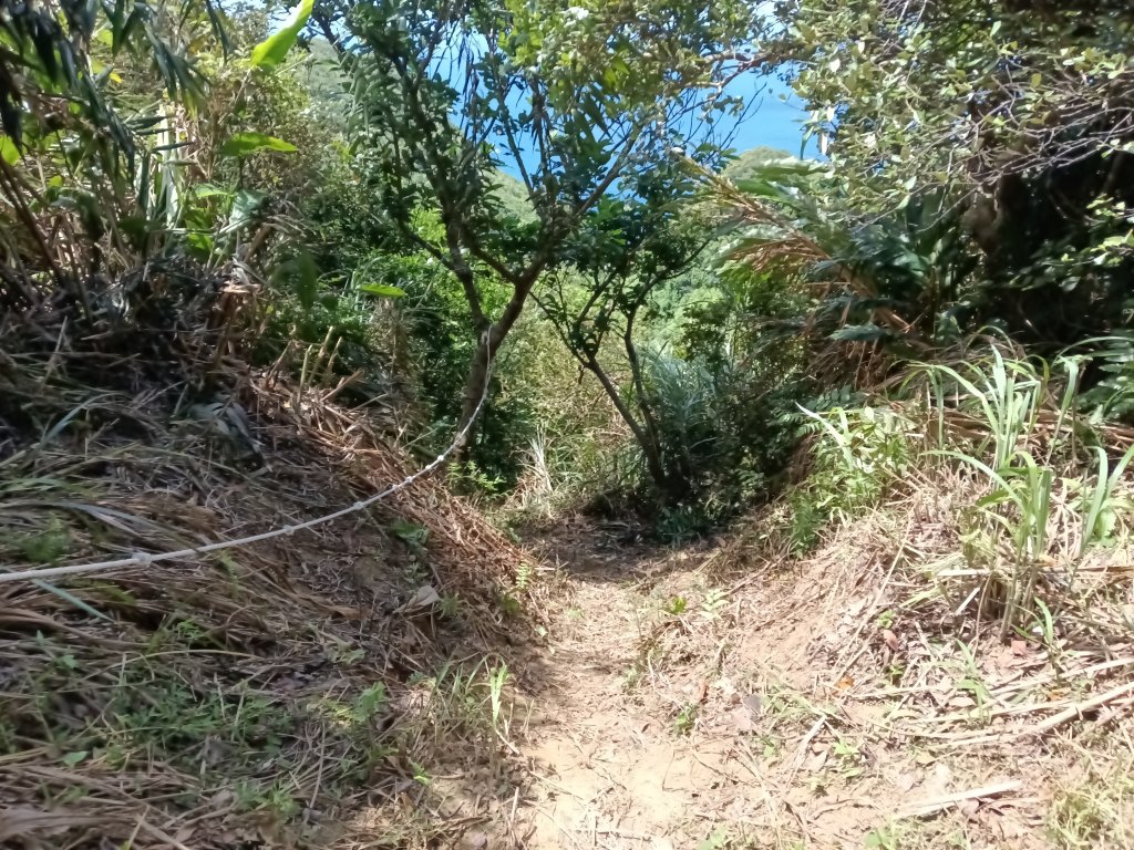 瑞芳區黃金8.5稜+南雅山O型_2866526