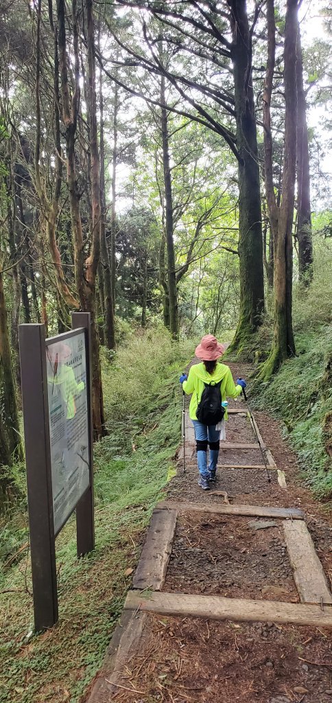 2022-09-10 塔山步道、姊妹潭、巨木群步道、小笠原山觀景台封面圖