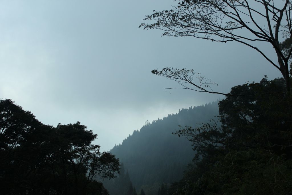 105.12.10 台中 稍來山楓中的饗宴_191081