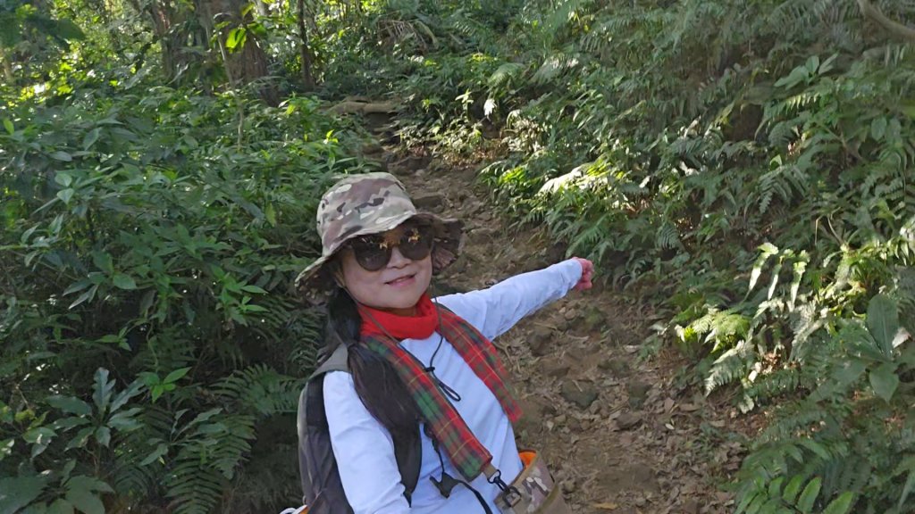 20251216太平山石門山小粗坑山O型+蕃薯藤TINA廚房_2972550