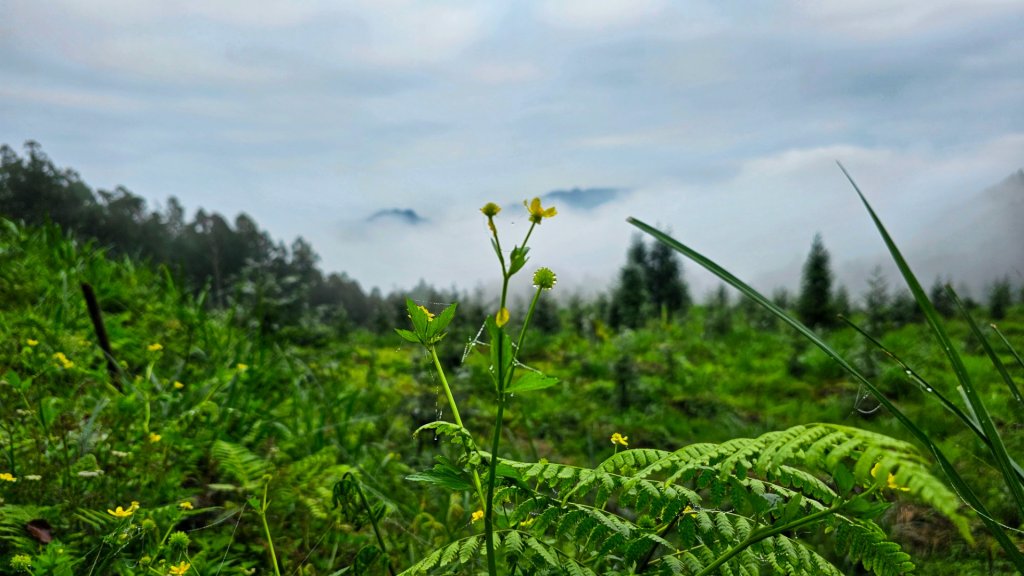 112.04.08 油羅山_2123530