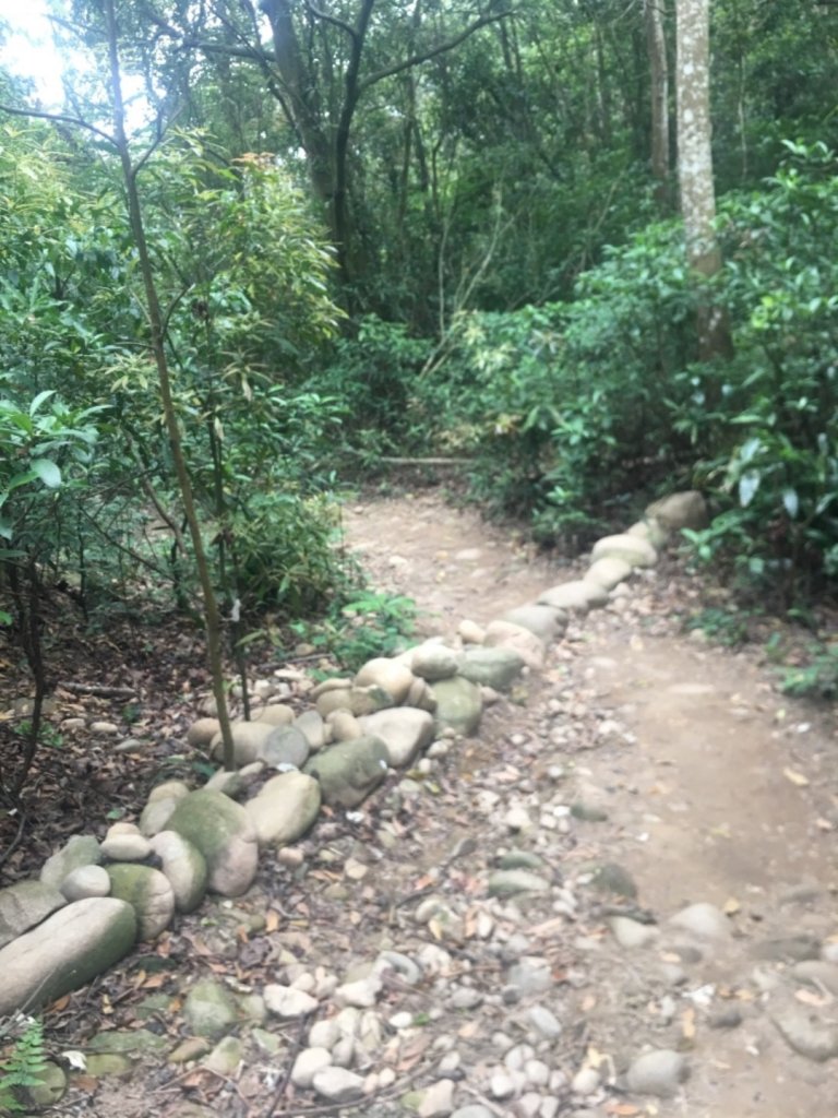 2020.3.27火炎山登山步道完走_905022