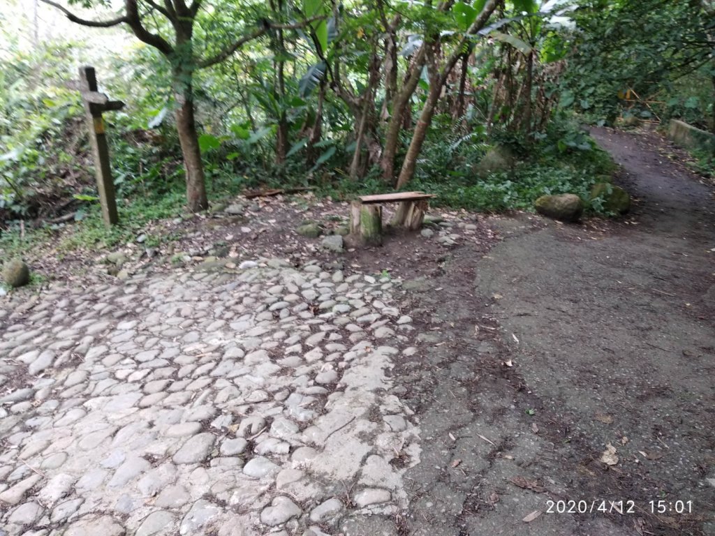 台南第一高峰:關子嶺大凍山_915629