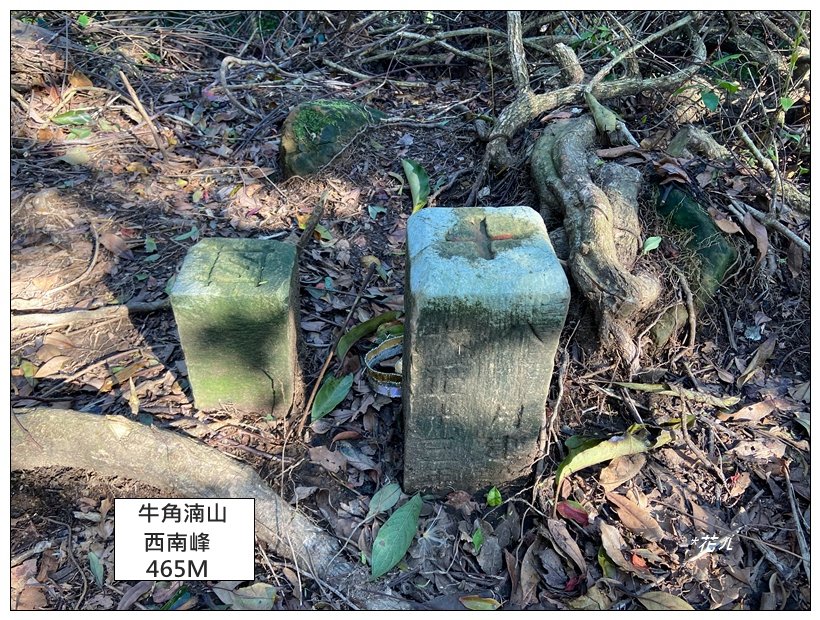 頭寮山、內湳溝山、牛角湳西南峰O型連走_2738975