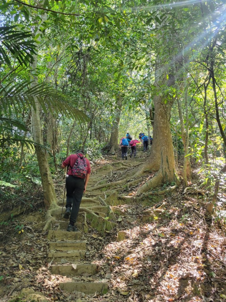 112.03.23 桃園大溪-打鐵寮古道_2082954