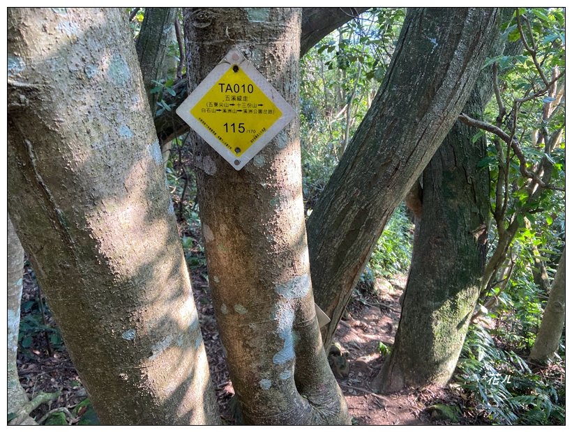頭寮山、內湳溝山、牛角湳西南峰O型連走_2738973