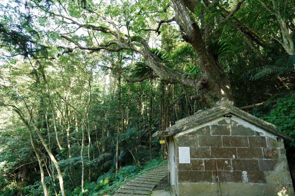 苗栗 南庄 神桌山、大屋坑山、細湖頂山、象山_2533556
