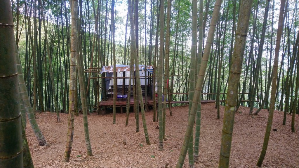 溪頭山、竹崙山、志騰山3山連走_1484391