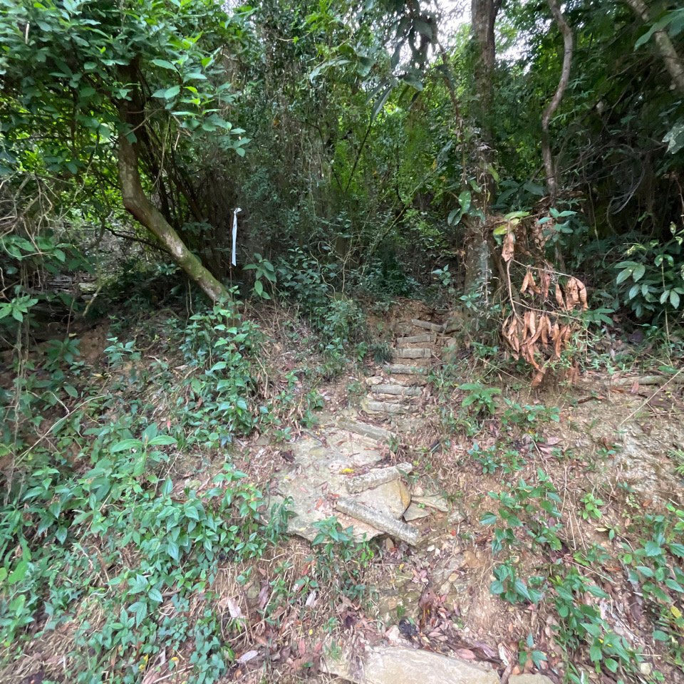 20251130_棚集山+斜坡上藝術節（屏東小百岳）_2968592