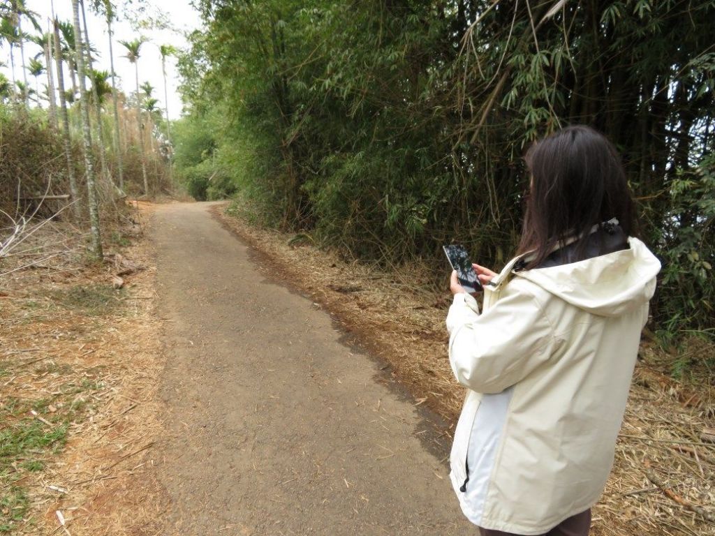 橫山觀日步道_125351